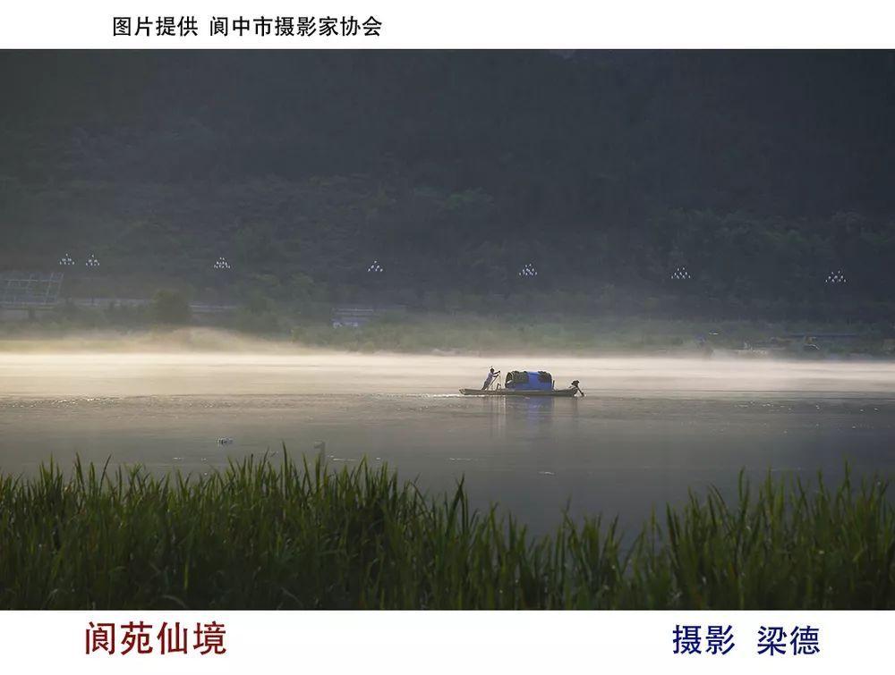 动物帮帮忙保卫家园